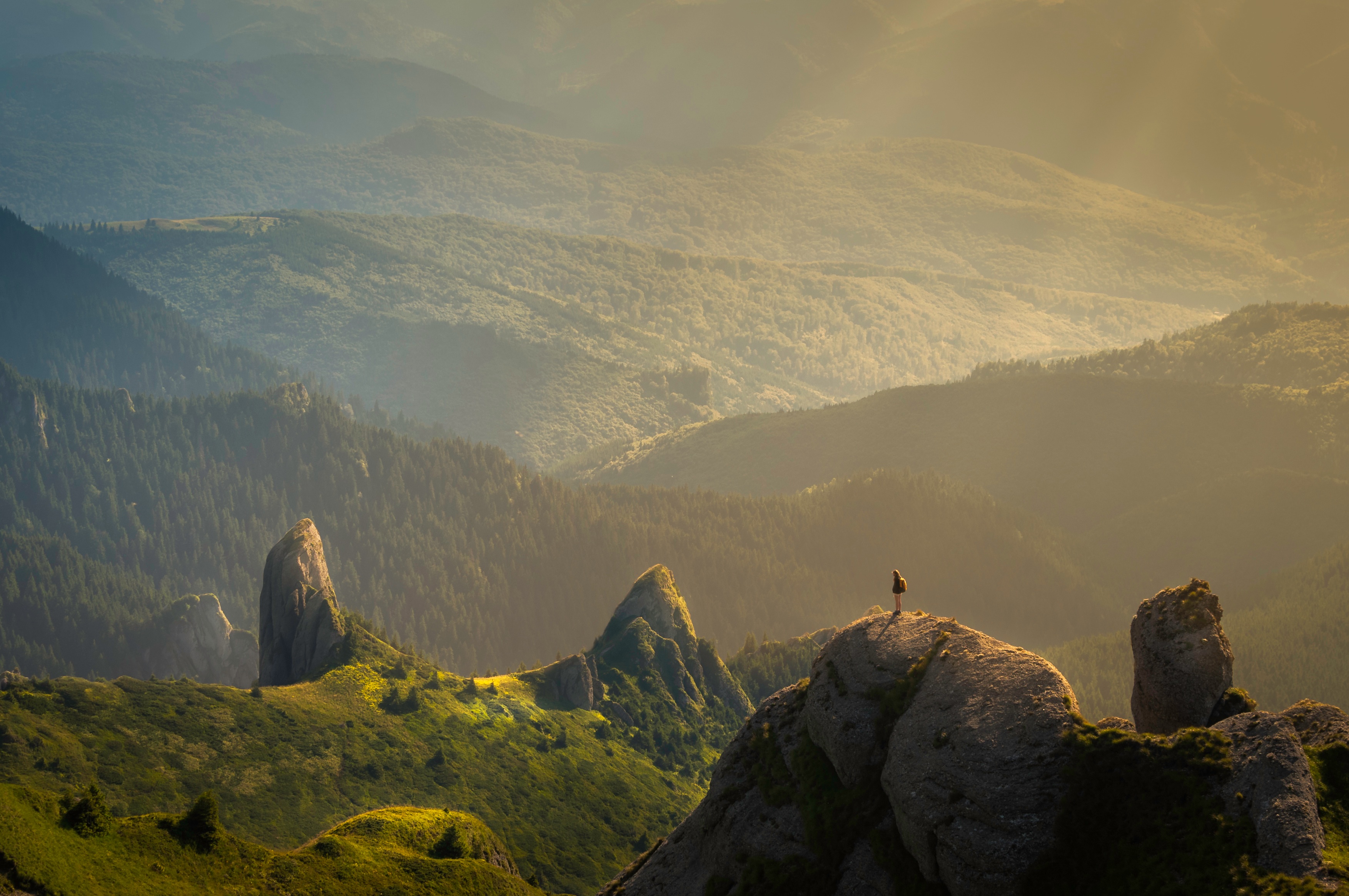 每日正念mindfulnessdaily特殊付费方式报名渠道