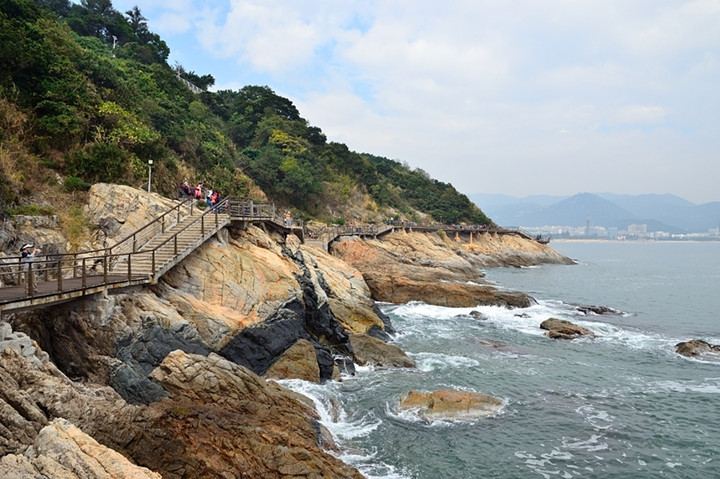 【金媒人-相亲旅游】6月4号~相约盐田海滨栈道最美海岸线