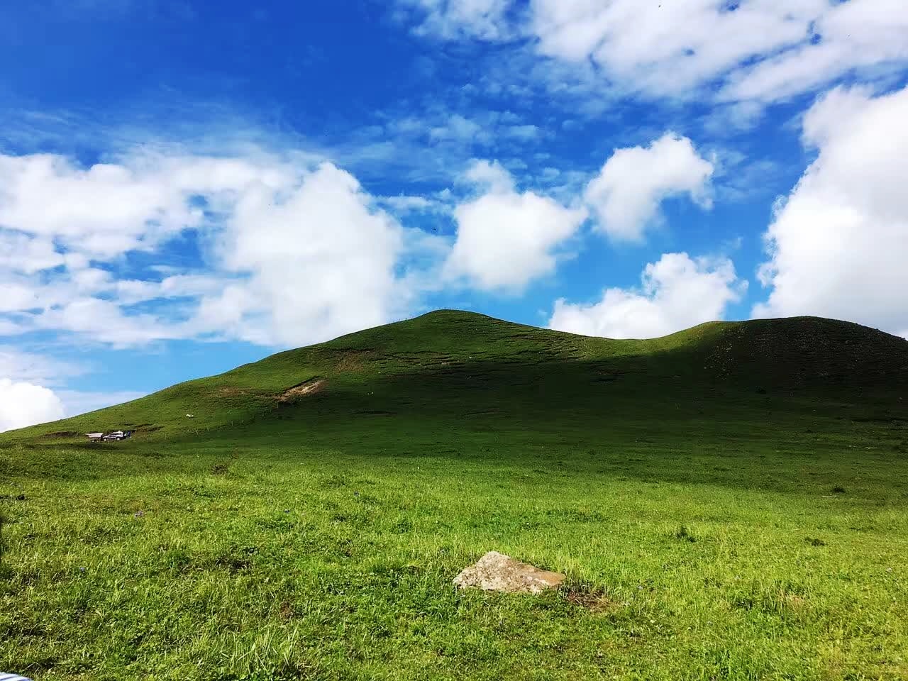 【8月19日】北灵山高山草甸,一日休闲登山赏花