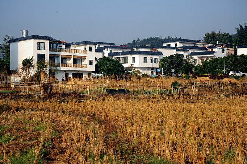 岭南乡村振兴暨民宿产业发展高峰论坛