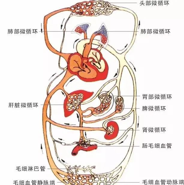 下载 (1).jpg